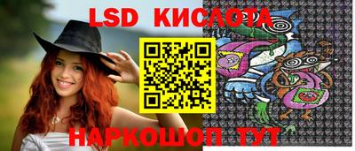 стафф Новодвинск