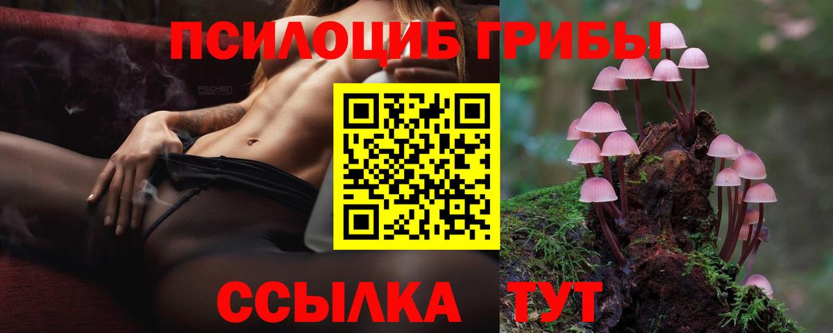Псилоцибиновые грибы MAGIC MUSHROOMS  Вход с VPN  Чебоксары 